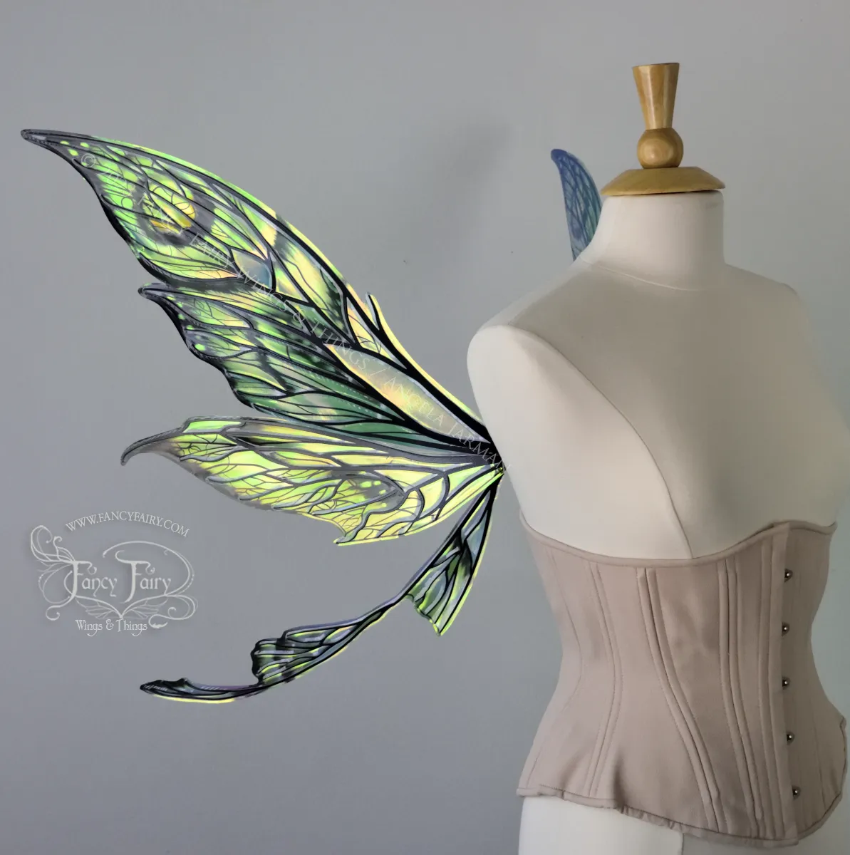Colette 'Absinthe & Arsenic' Painted Convertible Iridescent "Pix" Fairy Wings with Black Veins