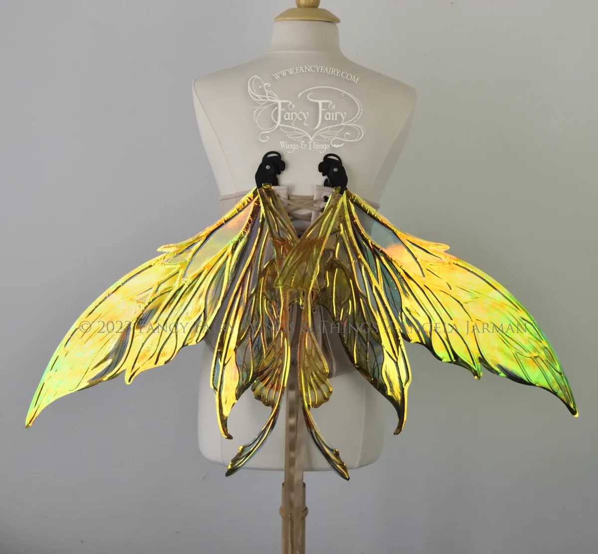 Colette 'Absinthe & Arsenic' Painted Convertible Iridescent "Pix" Fairy Wings with Black Veins