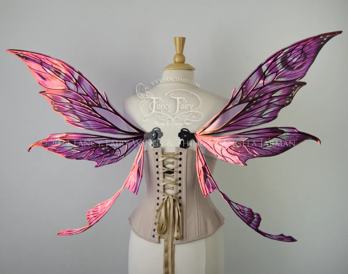 Colette Pink & Black Painted Convertible Iridescent "Pix" Fairy Wings with Black Veins, Ready to Ship