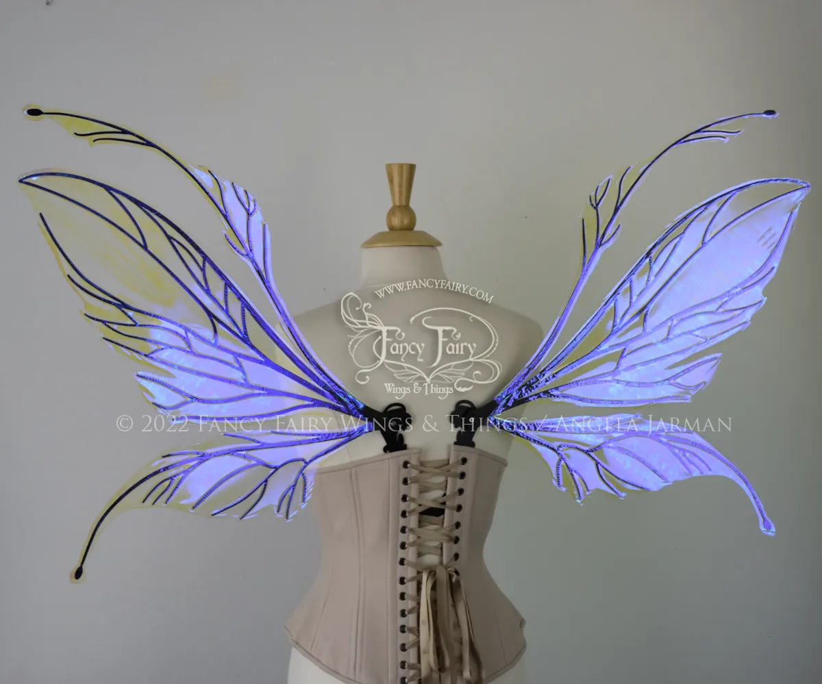 Datura Iridescent Convertible Fairy Wings in Ultraviolet with Black Veins, Ready to Ship
