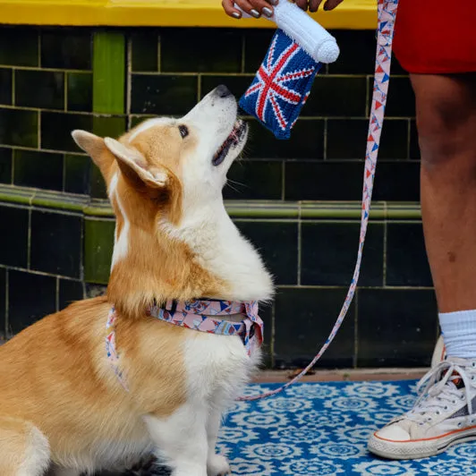 Jubilee Leather Free Classic Dog Lead