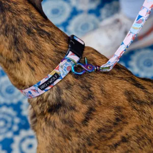 Jubilee Leather Free Classic Dog Lead
