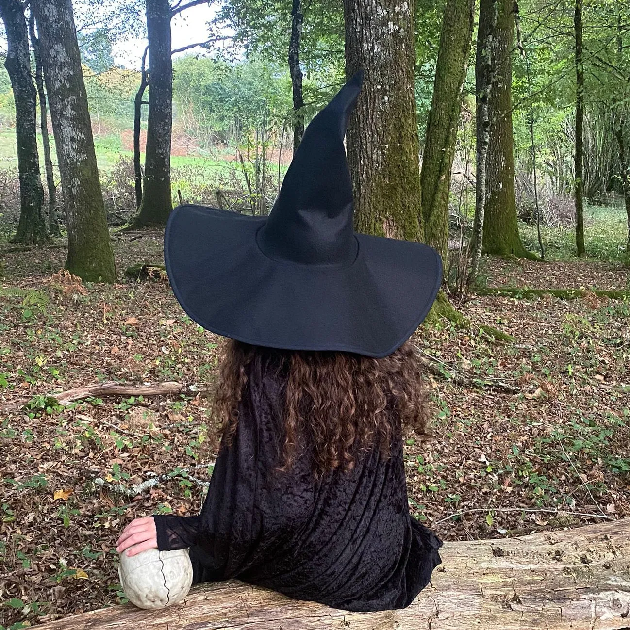 Zelena Wicked Hat